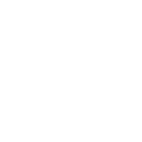 Strava Icon